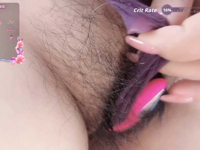 Miqibaob