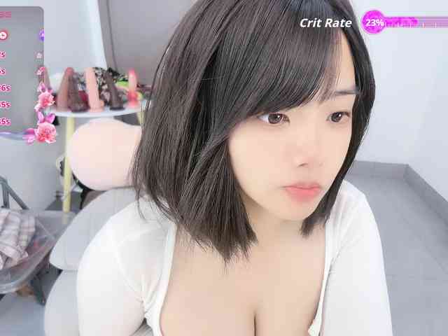 Miqibaob webcam
