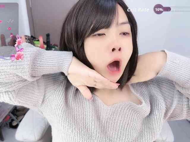Miqibaob webcam