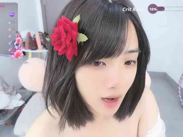 Miqibaob webcam