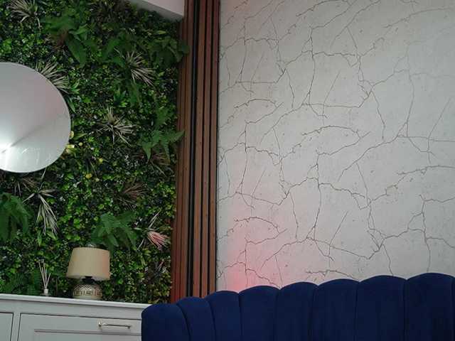 Alma-Luv Live Cam and Statistics on UnifiedCams