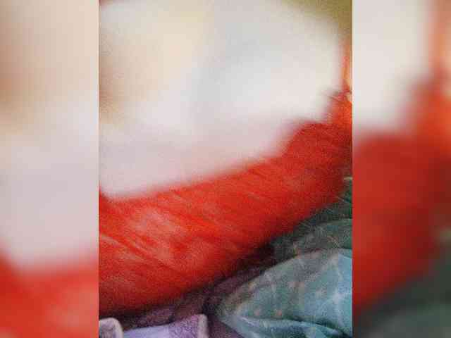 TerrieDelilah webcam