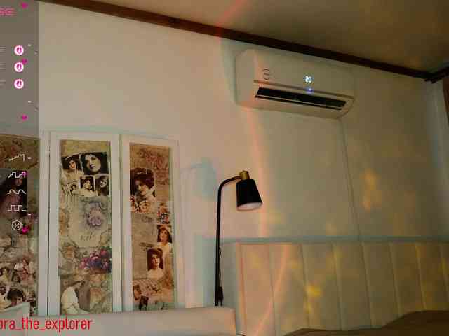 DoraTheExplorer webcam