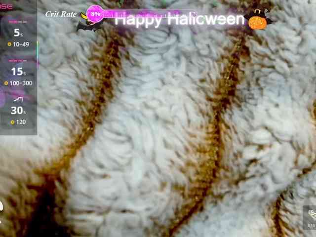 SweetCoople