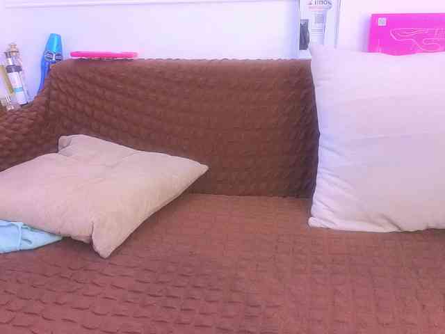 Daisy-Price webcam