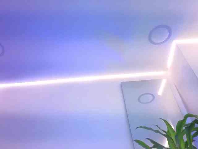 Daisy-Price webcam