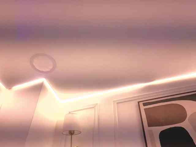 Daisy-Price webcam