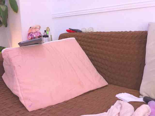 Daisy-Price webcam