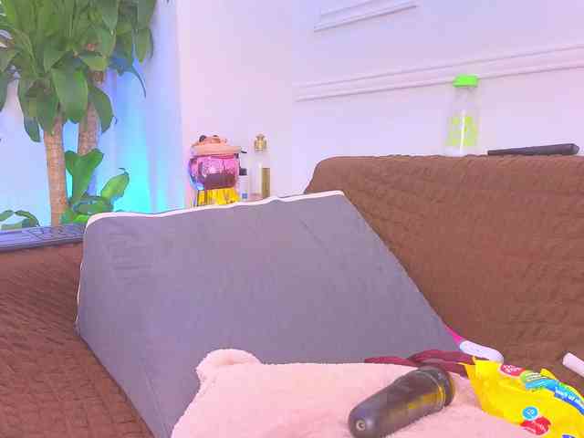 Daisy-Price webcam
