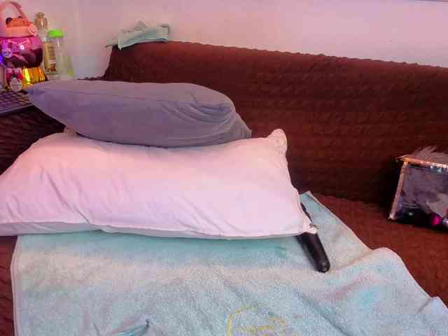 Daisy-Price webcam