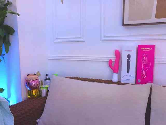 Daisy-Price webcam