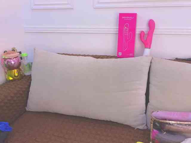 Daisy-Price webcam