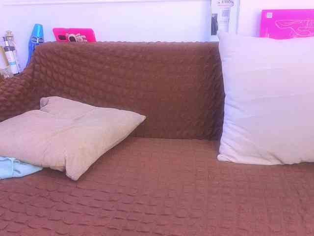 Daisy-Price webcam