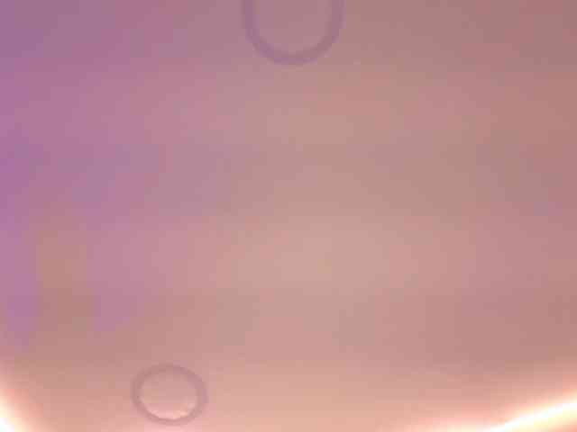 Daisy-Price webcam