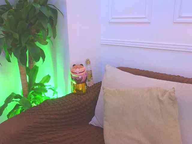Daisy-Price webcam