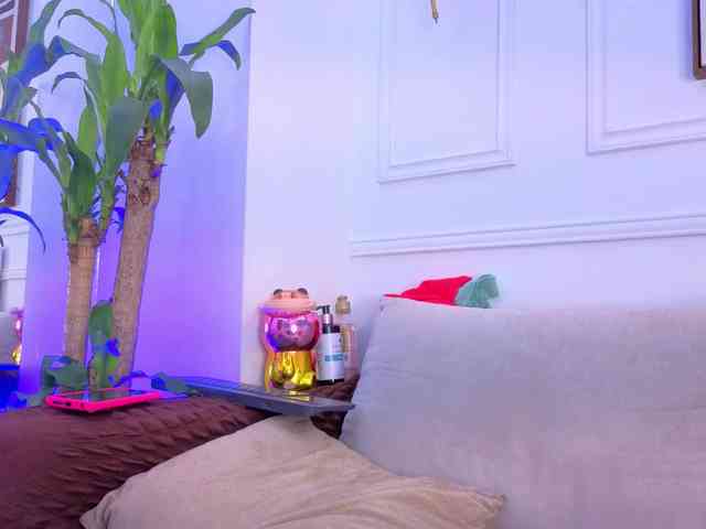 Daisy-Price webcam