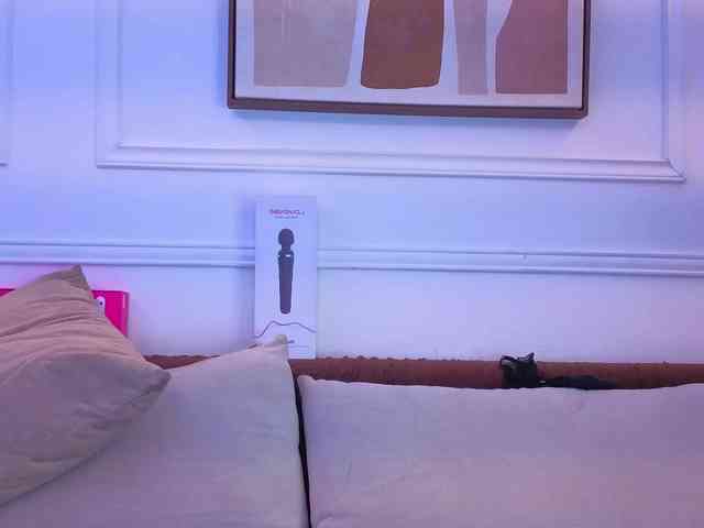 Daisy-Price webcam