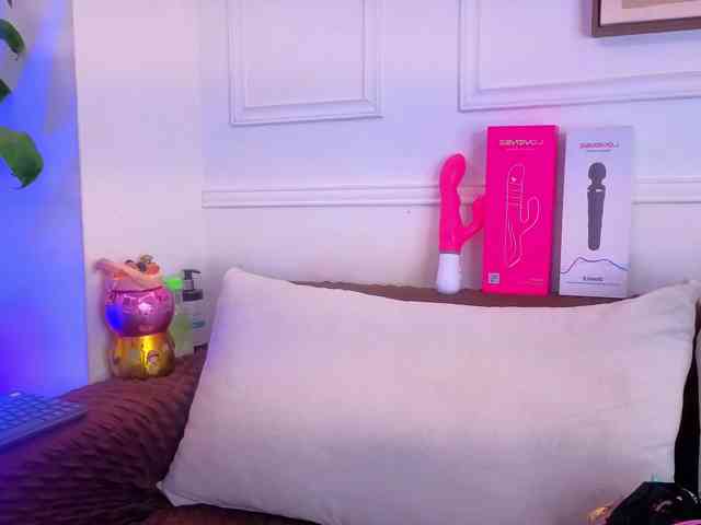 Daisy-Price webcam