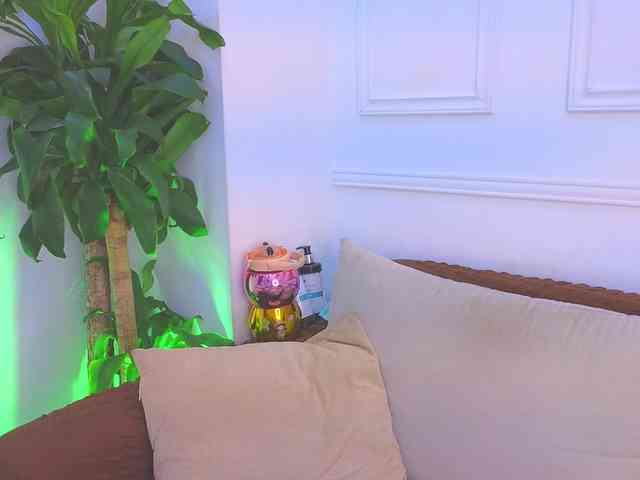 Daisy-Price webcam