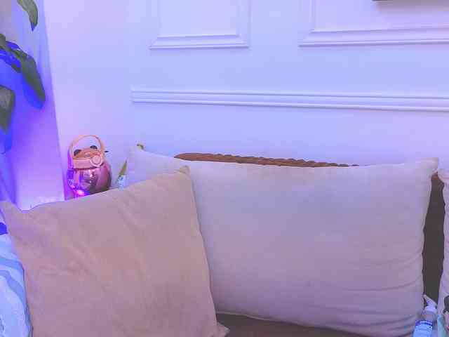 Daisy-Price webcam