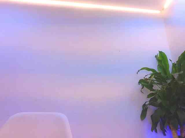 Daisy-Price webcam