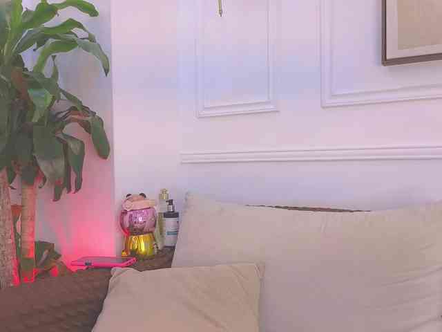 Daisy-Price webcam