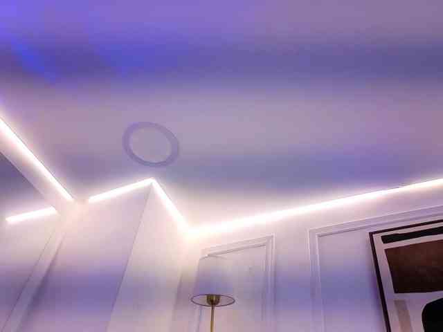 Daisy-Price webcam