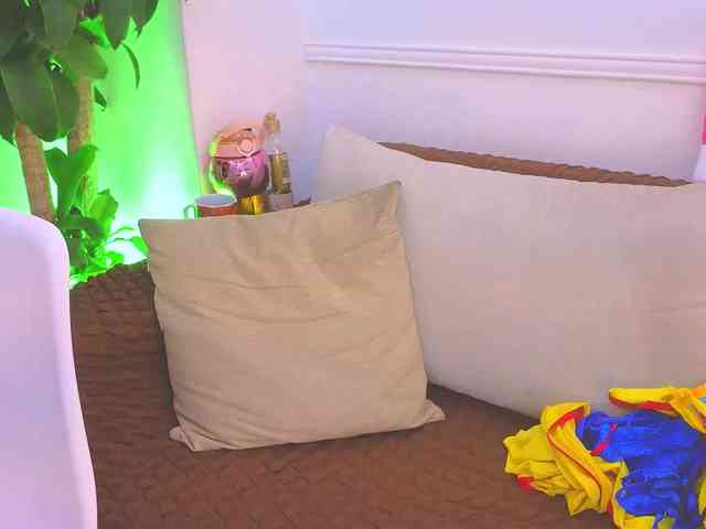 Daisy-Price webcam