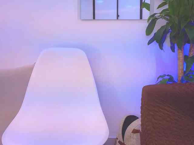 Daisy-Price webcam