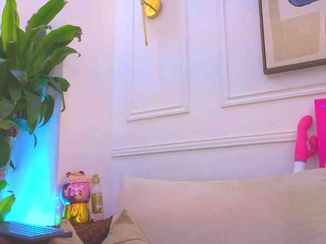Daisy-Price webcam