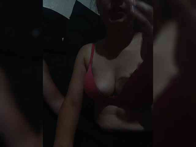 Vmeste-69 webcam
