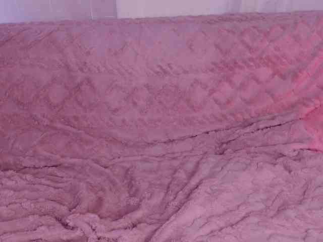 laceyy webcam