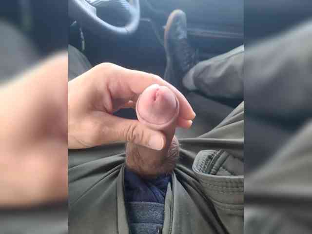 ANDRUSHELL