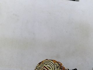 Hemreyi's Live Webcam