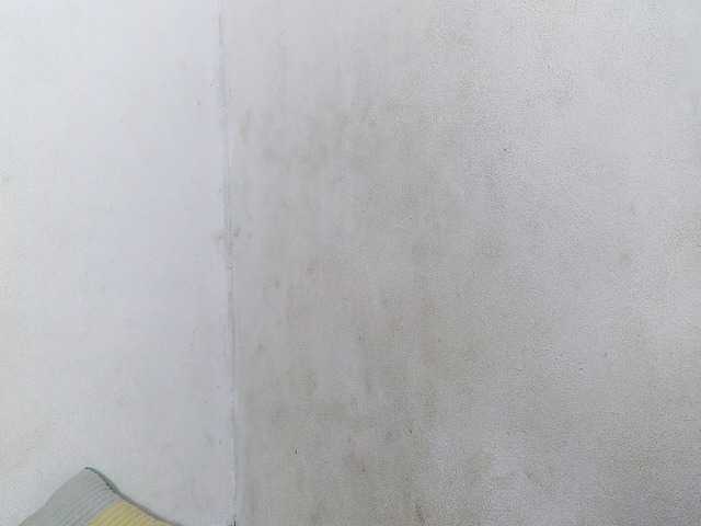 Hemreyi live cam on BongaCams