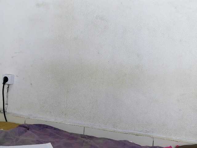 Hemreyi live cam on BongaCams