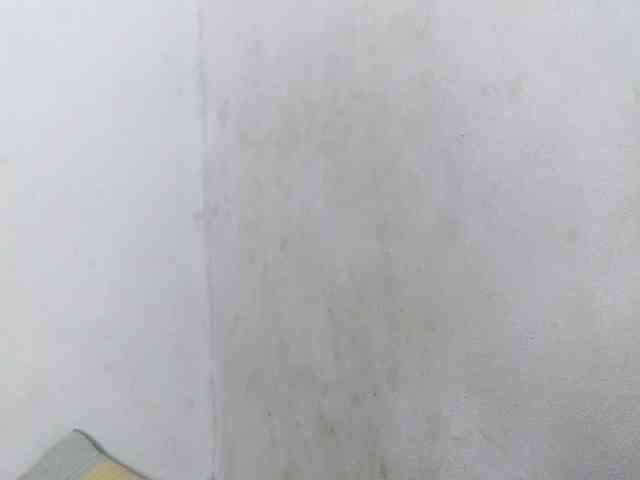 Hemreyi Live Webcam on BongaCams