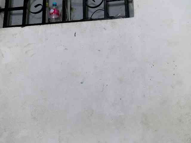 Hemreyi webcam