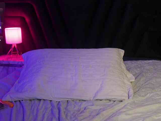 hollyvega webcam