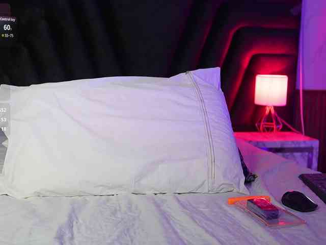 hollyvega webcam