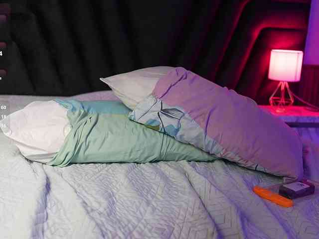 hollyvega webcam