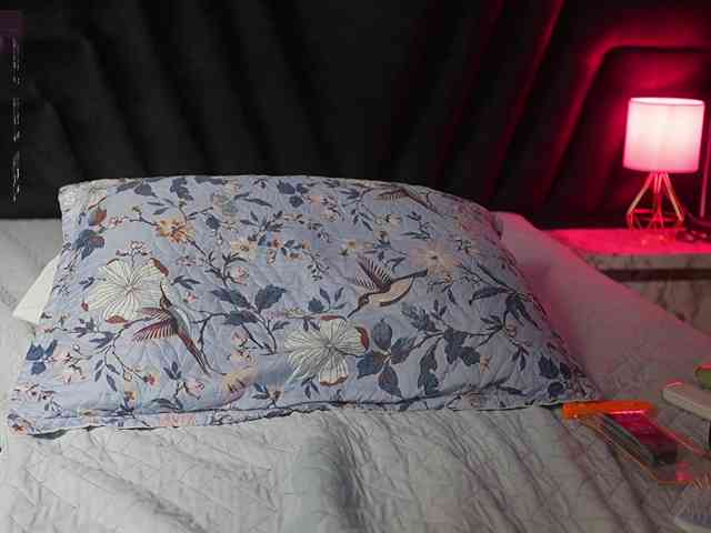 hollyvega webcam