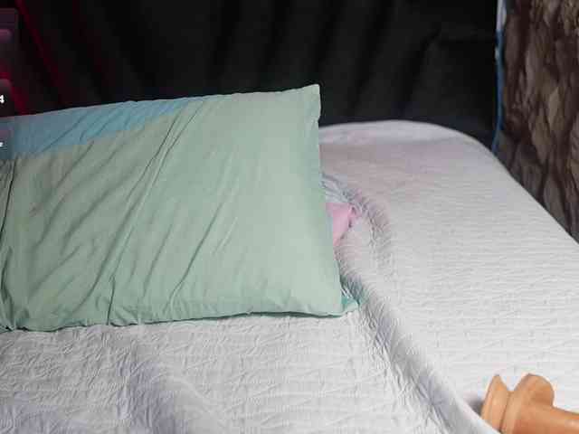 hollyvega webcam