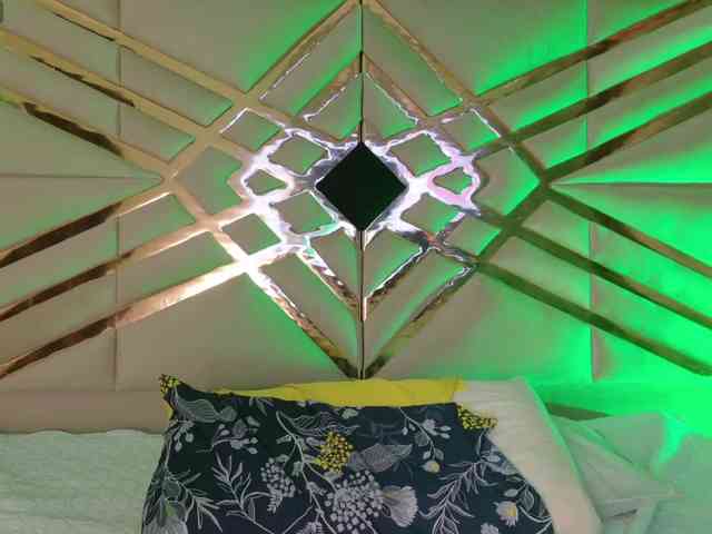 hollyvega webcam