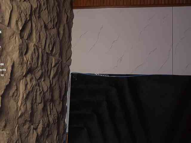 hollyvega webcam