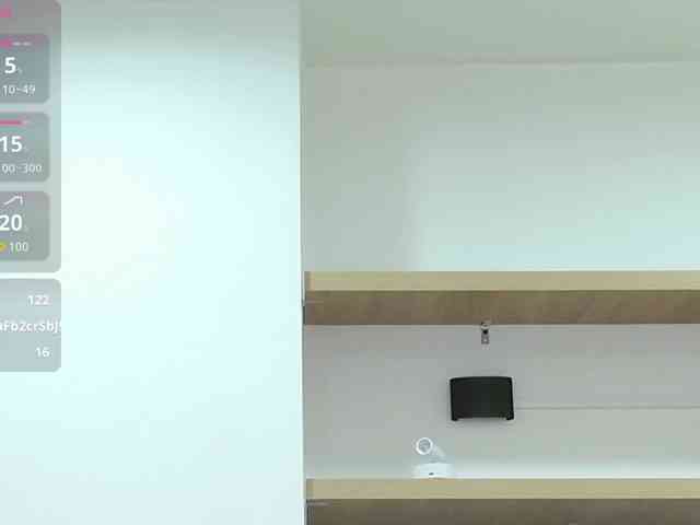 PalmerBeaumont webcam