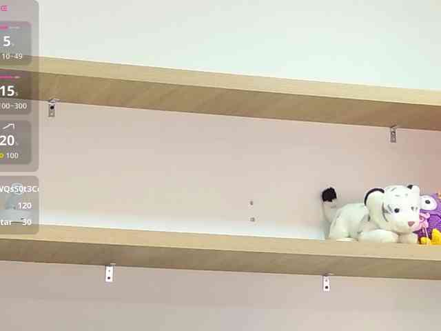 PalmerBeaumont webcam