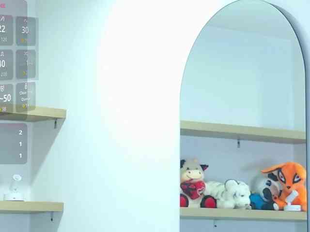 PalmerBeaumont webcam