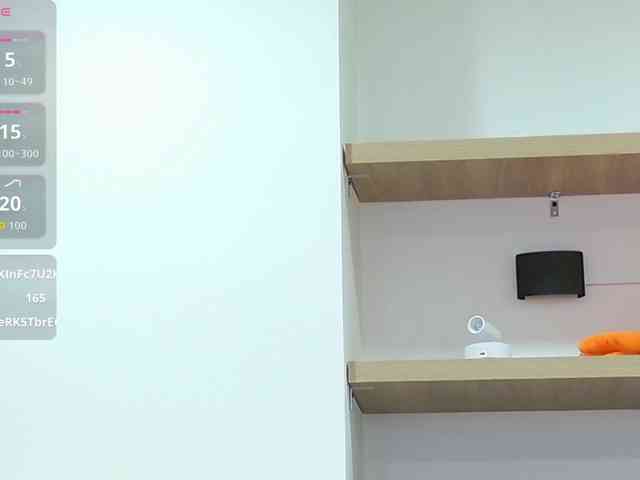 PalmerBeaumont webcam