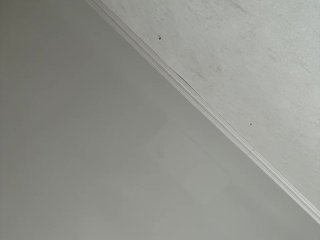 FunnyBanny0312